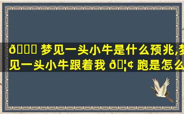 🐘 梦见一头小牛是什么预兆,梦见一头小牛跟着我 🦢 跑是怎么回事